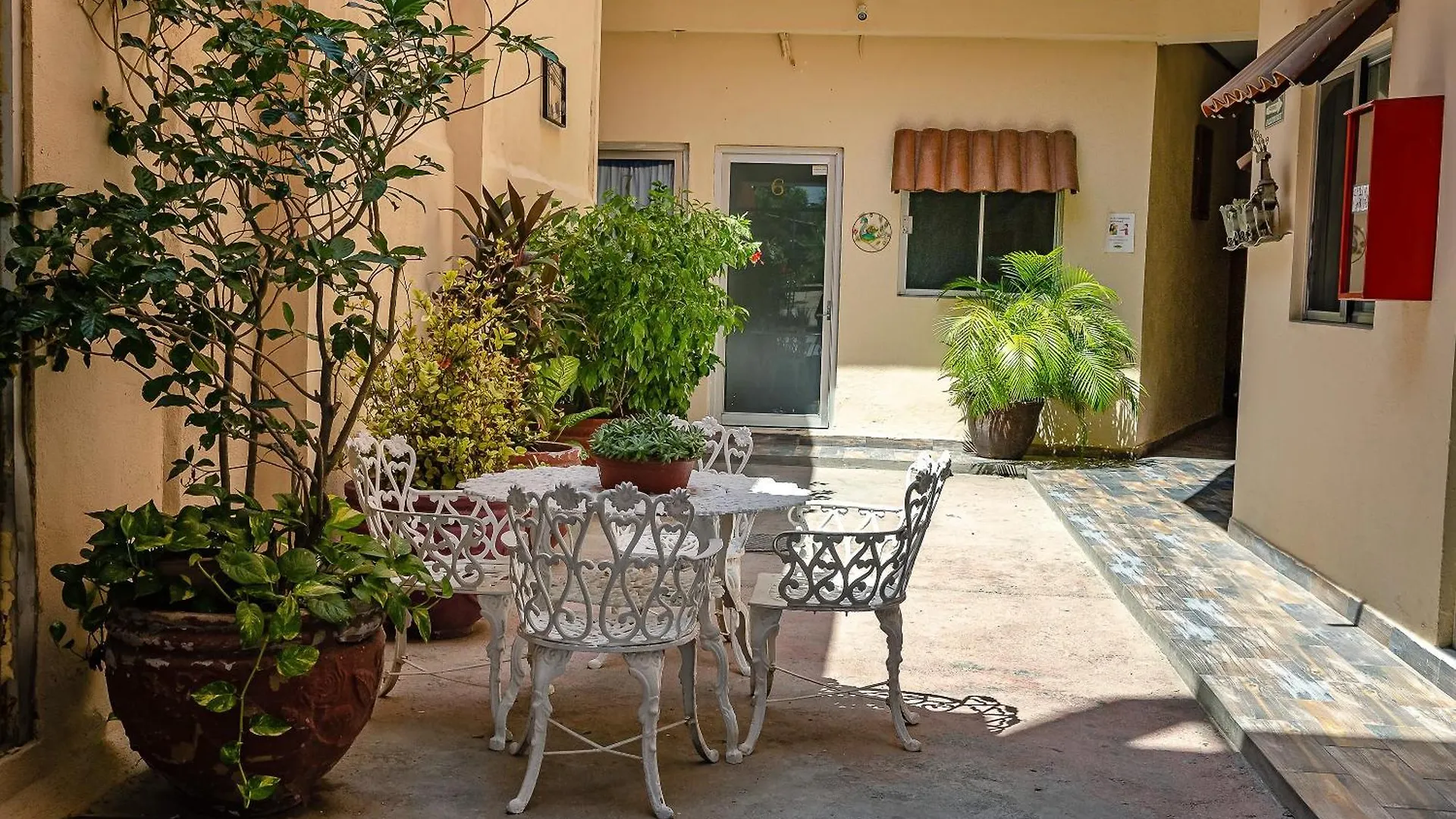 Oyo Hotel Cabo Del Sur, Κάβο σαν Λούκας