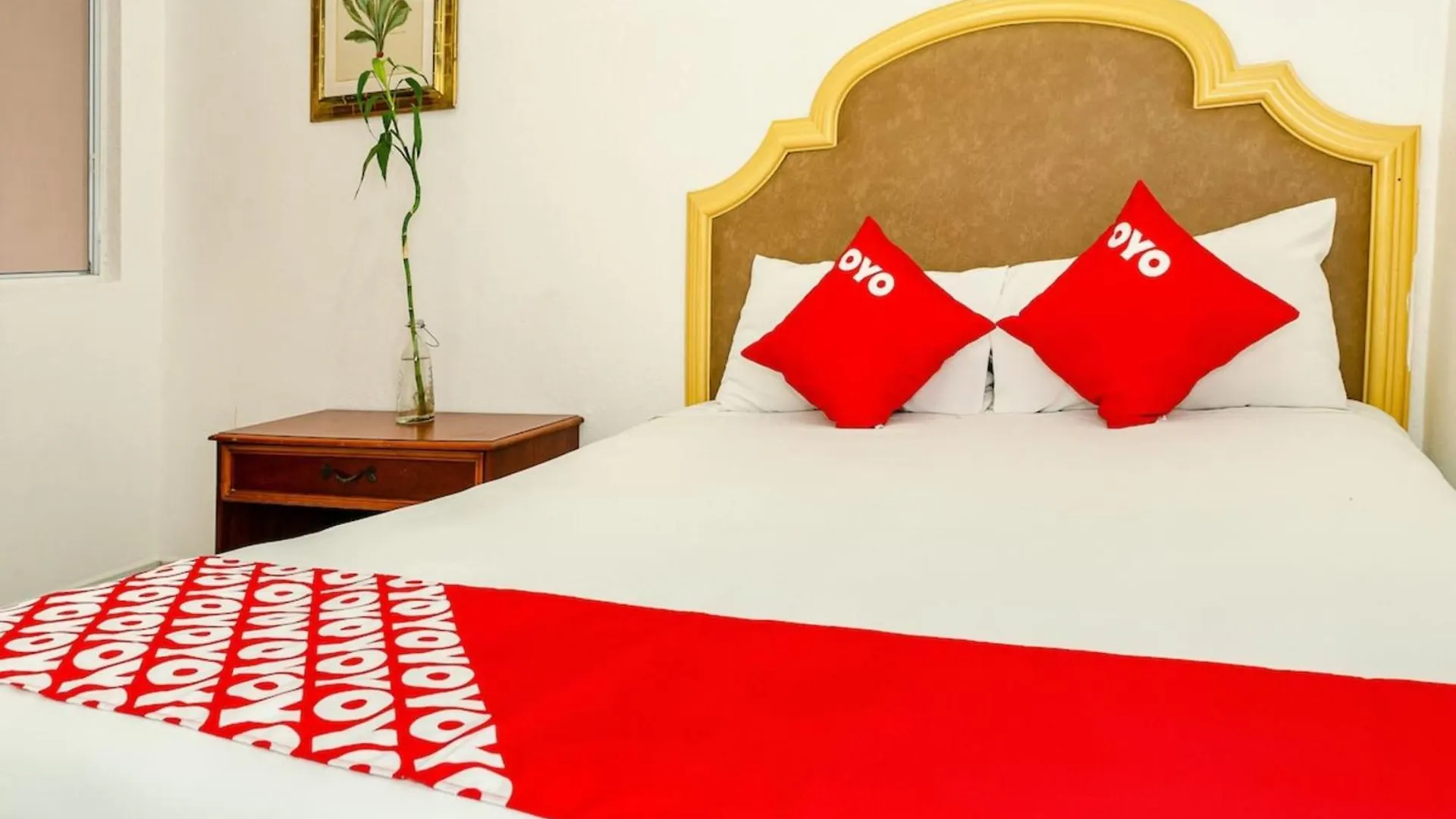 Oyo Hotel Cabo Del Sur, Κάβο σαν Λούκας 4*,